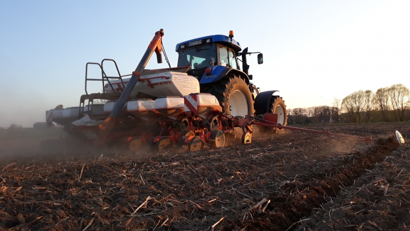 Traktor mit Sämaschine bei der Maisaussaat auf einem Feld im Abendlicht