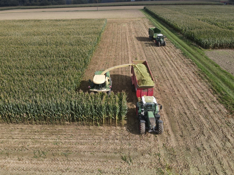 Luftaufnahme eines Feldhäckslers bei der Maisernte, der einen Anhänger auf dem Feld befüllt